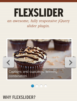 FlexSlider